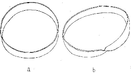 <i>Figure 4. Cylindrical ring (a) and Moebius strip (b</i>)