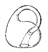 Figure 5. Klein bottle