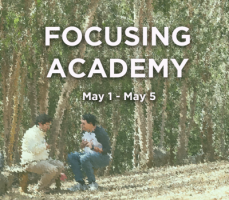 Focusing Academy May 2 - 5 2024