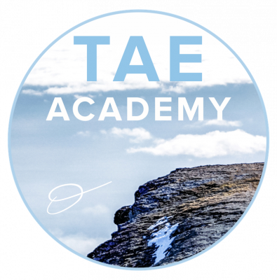 Thinking at the Edge Academy logo