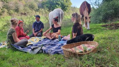 People sitting in the meadaow on a blanket, surrounded by horses and dog