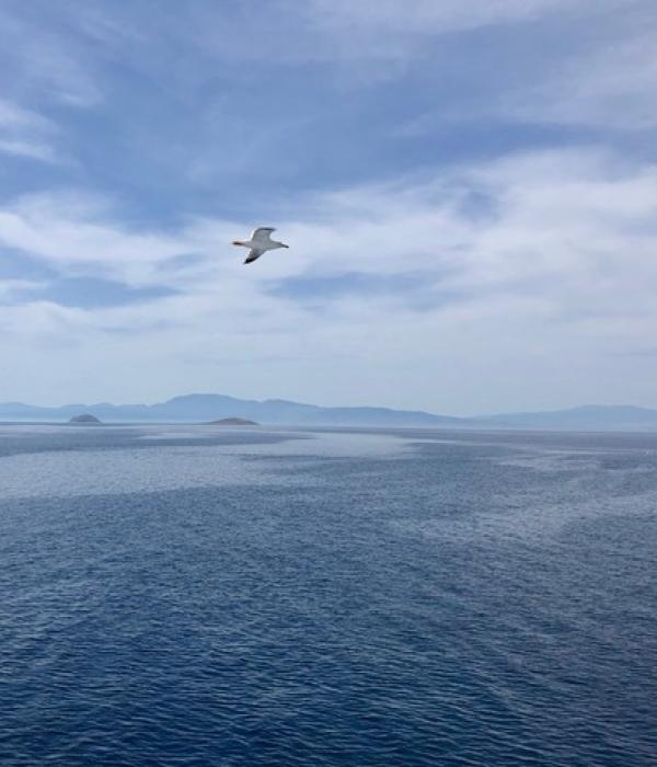Ferry from Aegina
