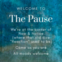 The Pause | We're at the corner of Now & Notice, where that old dive "Reaction" used to be. Come as you are, all moods welcome.