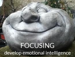 Focusing for developing emotional intelligence