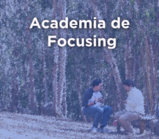 Academia de Focusing
