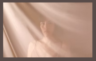 Invisible