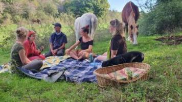 People sitting in the meadaow on a blanket, surrounded by horses and dog