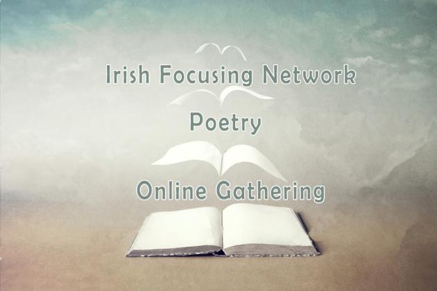 Irish Focusing Network