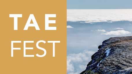 TAE fest TAE fest