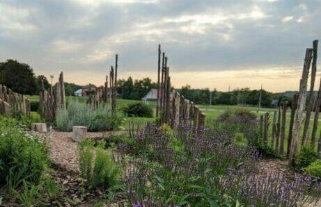 healing gardens