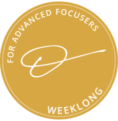 The International Focusing Institute Weeklong
